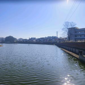 山河栖营地头像