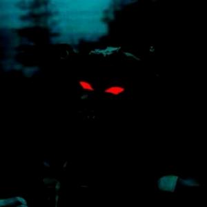 🍀幽浮摆渡人🔥巳巳如意Hooe景濤头像