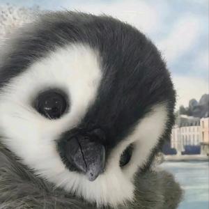 再靠近一点就会头像