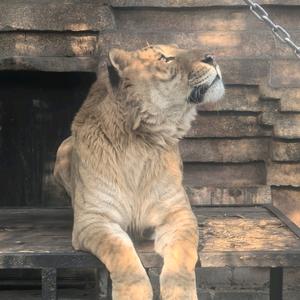 只是个客户头像