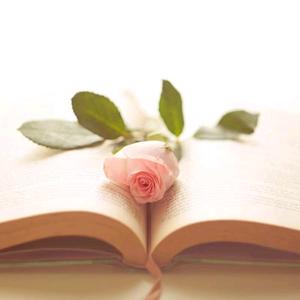 小满爱生活🥰头像