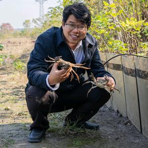 小城驻村路头像