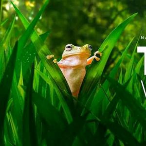 生灵探秘录头像