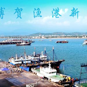 无辐射无污染海鲜海味头像