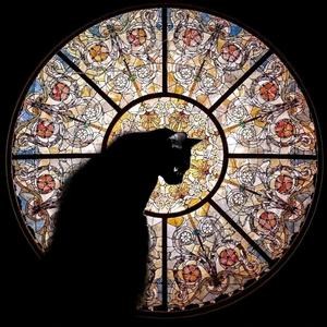 莫比一拳爆头像