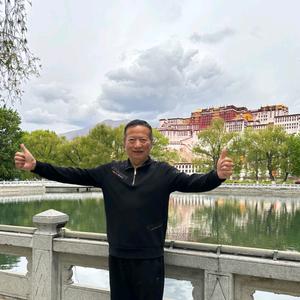 伊宁小肥马头像