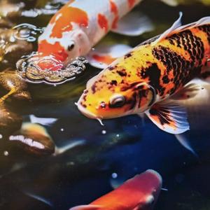 大方玖伍优品小铺头像