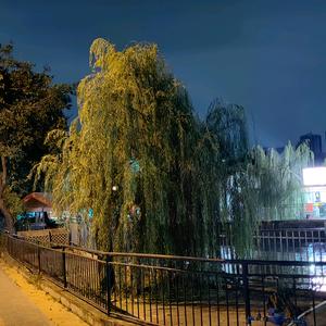 壳术迦数码店头像