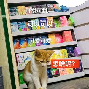 实体港货店富加代购头像