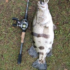 铅头钩（跳底中 ）头像