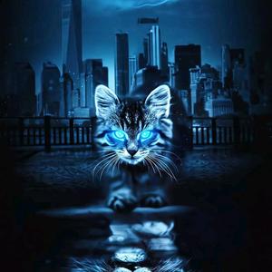 蓝色❀街灯头像