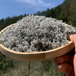 半山梦莓茶小颜头像