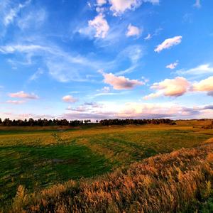 海拉尔大众铜锅涮肉头像