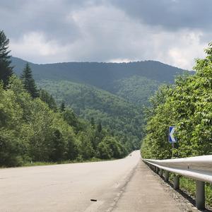 逍遥的兔仔头像