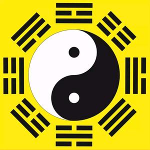 上官深圳总部头像