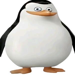 一般通过四个雷头像