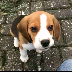 马       也   .💫ˣʸ头像