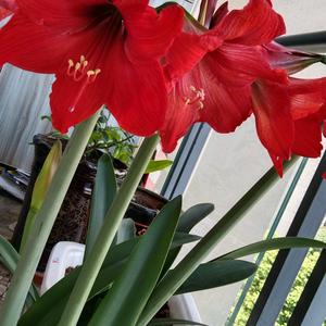 开心就好^O^头像