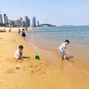 春眠不觉晓头像