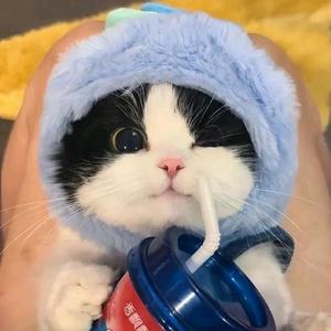 小陌的玩具店🔞关必回（橱窗更精彩）头像