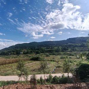 永青生态鸡（老宋）头像