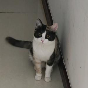 我是蛋蛋🥚头像