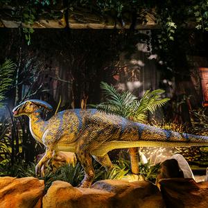 蓝蜥蜴自贡景观工程有限公司头像