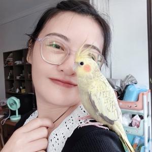 🌸尘（陈）缘如梦🌸头像