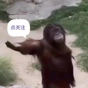 小孔的打工日记头像