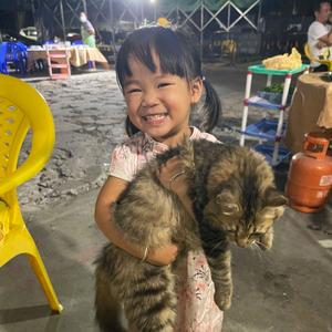 三宝妈妈静子头像