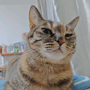 毛豆炒肉ᰔᩚ（见过侯明昊🥝刘宇）头像