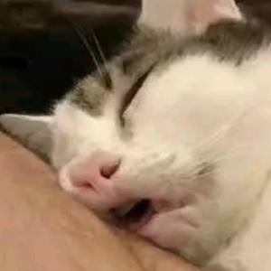 Ailiy的老公头像