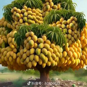 重生之等运看个球球头像