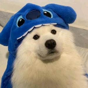 吴一拍୧⍤⃝🏸️头像