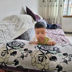 醉美红“陈"头像