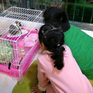 海棠生活记头像