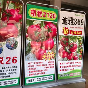 丫勒小矣农资种子销售点头像