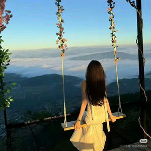 懒懒の芝士片头像