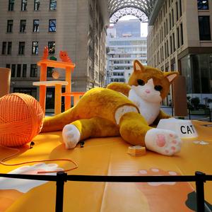 宝拉：灵泽头像