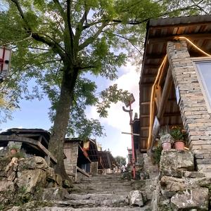 菇凉探百草头像