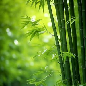 语润心理头像