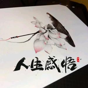 风是自由的/你也是头像