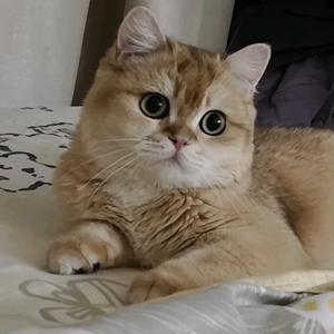 啊啾啾啾啾头像