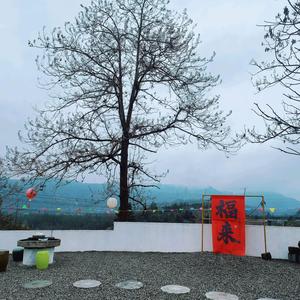 武夷山隐居客栈头像