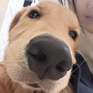 小斗六一（不吃鸭屁股！）头像