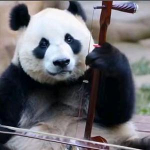 灵君头像