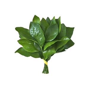 闲娱小丸子头像