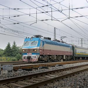 西陇海大金刚头像