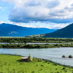 英儿现磨豆浆头像