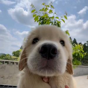 你吭大气啊！🌈头像